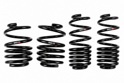 RS-R 24-26 Integra Type S Down Sus Lowering Springs